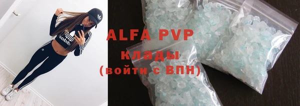 прущие грибы Абинск