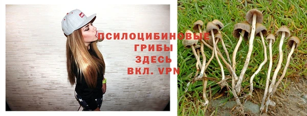 PSILOCYBIN Абдулино