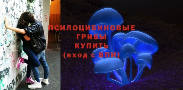 PSILOCYBIN Абдулино