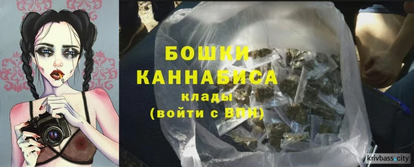 PSILOCYBIN Абдулино