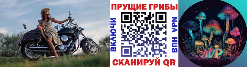 купить наркотик  Серпухов  Галлюциногенные грибы прущие грибы 